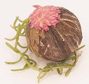 Té flor de Lichi